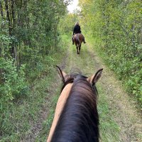 AlbertaProud 🍎 (@albertaproud63) Twitter profile photo