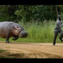 Paul Stander - @paulusstander1 - Twitter