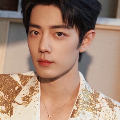 mundoXiaoZhan's profile picture. Nunca dejas pasar una oportunidad que te haga feliz, mi inspiración y mi admiración es Xiao Zhan, ♥️100% XFX 🦐