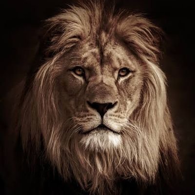 PreciousEjeka's profile picture. Engineer, Entrepreneur. EVEN #ManchesterUnited4life. All about making the world a better place 😊💖