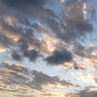 雲呼 (@lcvb9yavxi80804) 's Twitter Profile Photo