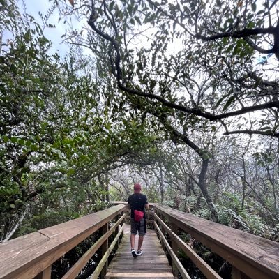 Tazh03's profile picture. Building fun stuff with code, coffee & curiosity ☕🧠 Learning in public — one bug at a time.  Making things real for real people.