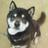 Yokota26's profile image