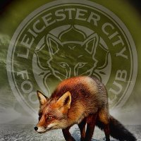 Lee (@l33_fox) 's Twitter Profile