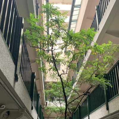 5lP0o's profile picture. 春から社会安全学部、無言フォロー済みません #春から関大 #社会安全学部