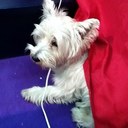 levy nancy - @LevyNancy - Twitter