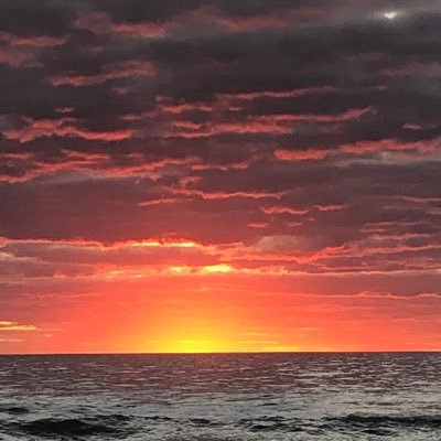 aste_d43021's profile picture. 