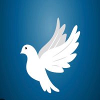 MrsRare (@mrsraregarbage) 's Twitter Profile