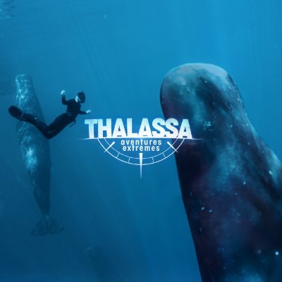 Compte officiel THALASSA -  L'émission phare qui vous raconte toute l'actu de la mer ! 🌊