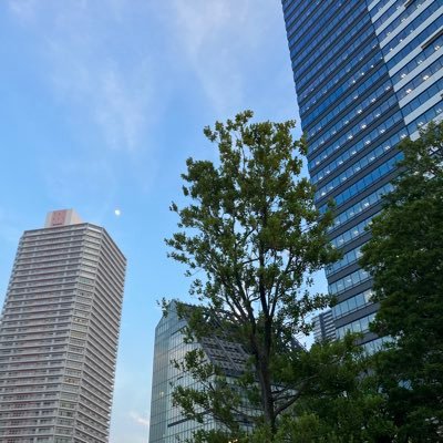 ょゎょゎ海森さんのプロフィール画像