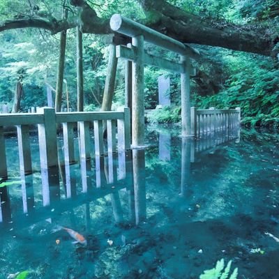 HowDoIDoit_'s profile picture. Ngnl  persona
SAO  SMT
DAL
Tonikawa 🍵🗿
To be hero X 🌧⛈️