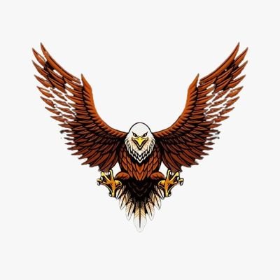 designunique01's profile picture. we will fight till the last drop of our blood!🇵🇰