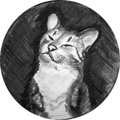 mikhailgozhev's profile picture. 