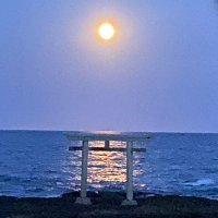 ゆゑ (@lullabyx_x) Twitter profile photo