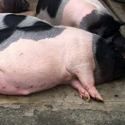 wywtot's profile picture. 