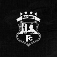 Zamora FC | Cantera(@CanteraZamoraFC) 's Twitter Profile Photo