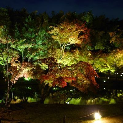 saminasamina37's profile picture. 声優イベ・舞台お取引中心。通知不良気味なので、返事にお時間いただく場合があります。お声かけ頂いた後辞退される場合は一言お願いいたします。
DM解放しておりますが１日経っても返信がない場合はリプ頂けると幸いです。
都内手渡し、郵送も対応。振込はゆうちょ・みずほ、PayPay・楽天pay・aupay対応。25↑