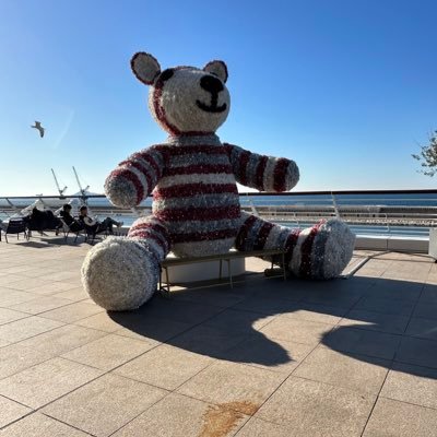 Gaoucho13's profile picture. AE DGGN / ZDSS