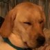 William Flahaven (@wflahaven13886) Twitter profile photo William Flahaven (@wflahaven13886) Twitter profile photo
