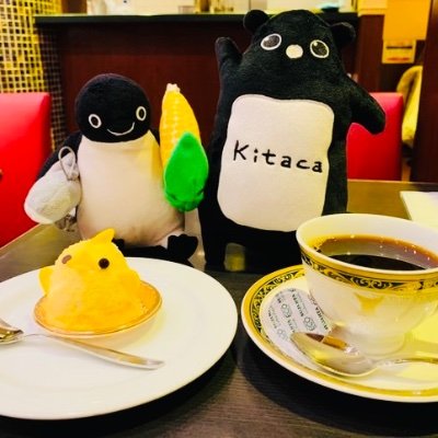 Suicaのペンギン(モロコシペンギン)＆小サメ、Kitacaエゾモモンガを連れてお出かけしては記念撮影📸しています。時々IKEAの子サメ🦈。