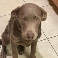 Chris Gardner (@gardnerchris44) 's Twitter Profile