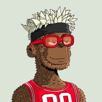 David π (@david_y00t) 's Twitter Profile