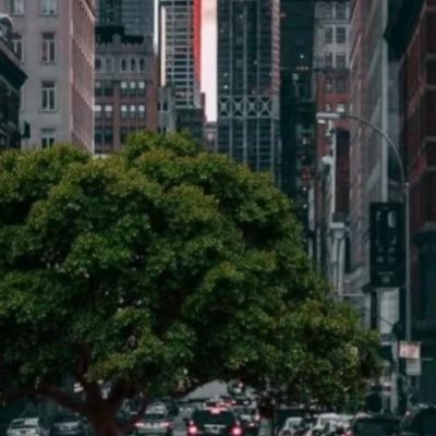 T02125395T's profile picture. سبحان الله وبحمده