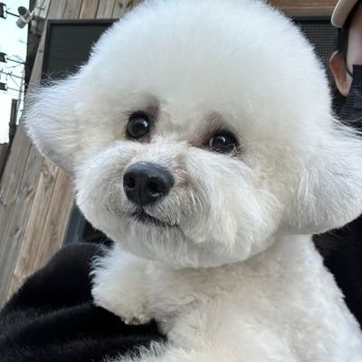 ainさんのプロフィール画像