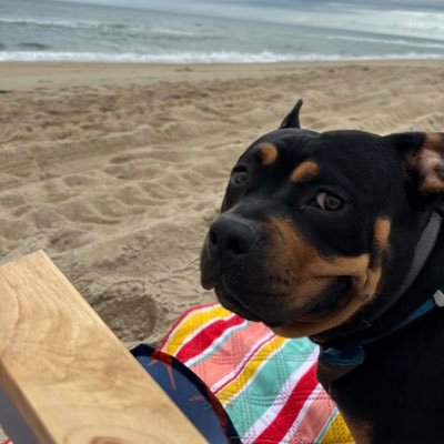 SOLFIRE4LIFE's profile picture. 