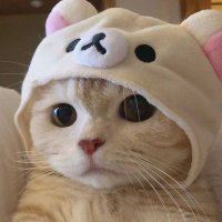 Darkstar (@darkstar_coc) 's Twitter Profile Photo Darkstar (@darkstar_coc) 's Twitter Profile Photo