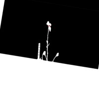 𝐇𝐚𝐥Ø (@unbesetztsynth) 's Twitter Profile