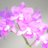 Cattleya_rs's profile image