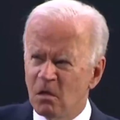 1nspect0rgadget's profile picture. New Yorks gen x