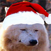 Discord Dog With a Christmas Hat (@idnyy) Twitter profile photo