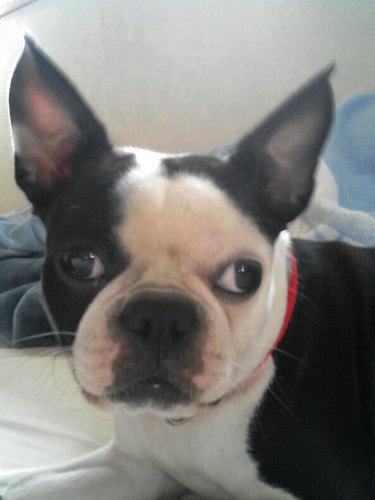 robopost's profile picture. ガンダムと久保田利伸さんとアビスパ福岡を心から愛する、久保田さんと同い年の明るいおいちゃん。久保田さんのデビューと同じ年に結婚し、昨年が２５アニバーサリーでした。