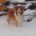 Nadia mit i 🇮🇹🐕🦺🐱🦜 (@nadia20051969) Twitter profile photo Nadia mit i 🇮🇹🐕🦺🐱🦜 (@nadia20051969) Twitter profile photo