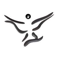 Women in the Arts, Inc. (@womenintheartsc) 's Twitter Profile