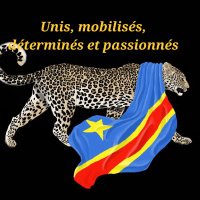 Compte Officiel de Léopards (@fecofa_kinshasa) 's Twitter Profile