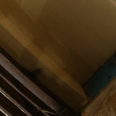 Nerenertea's profile picture. Enlightment yogin.