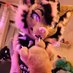 Mutt🔞(AD)🔜CFZ/EF{45k} (@ad_rutt) Twitter profile photo Mutt🔞(AD)🔜CFZ/EF{45k} (@ad_rutt) Twitter profile photo