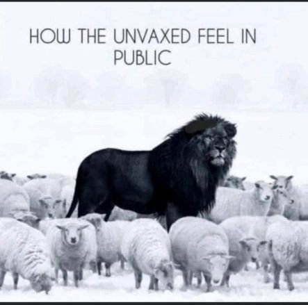 jklallien's profile picture. 