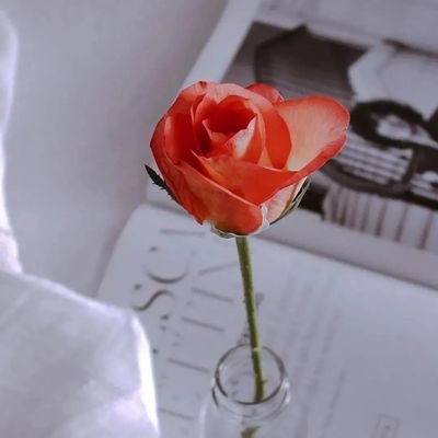 Xiutime_wu's profile picture. 