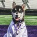 MedComms (@medcomms_uw) Twitter profile photo MedComms (@medcomms_uw) Twitter profile photo