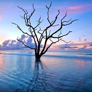 dowdmw's profile picture. 