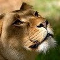 Sabina🇵🇱 (@sabinal63605) 's Twitter Profile