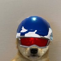 Chopin (@chopinftn) 's Twitter Profile Photo Chopin (@chopinftn) 's Twitter Profile Photo