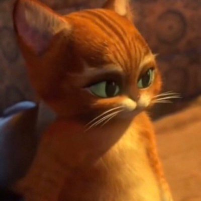 zakiucef's profile picture. 