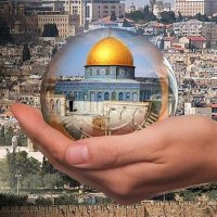 الشــــــــــاعر ابو محمد 🌺 (@abomo011) 's Twitter Profile Photo