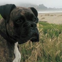 Russel Leannon (@rleannon52743) 's Twitter Profile