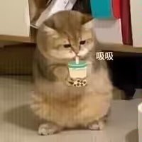 hqhw (@hqhw1039945) 's Twitter Profile